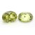 Olive Yellow